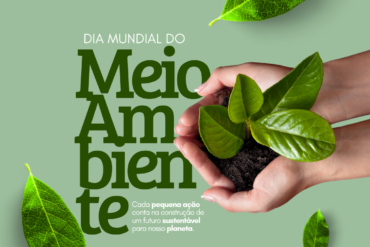 Efeitos da dieta plant-based